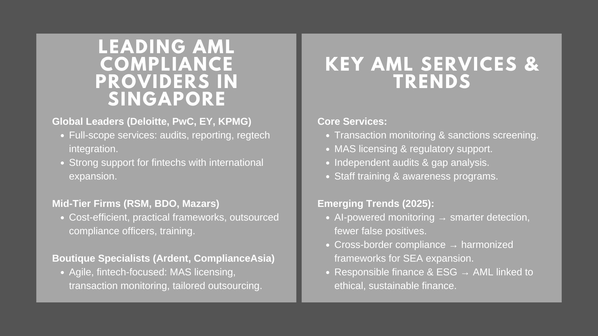 Best AML Compliance Firms in Singapore for Fintech and Payment Services