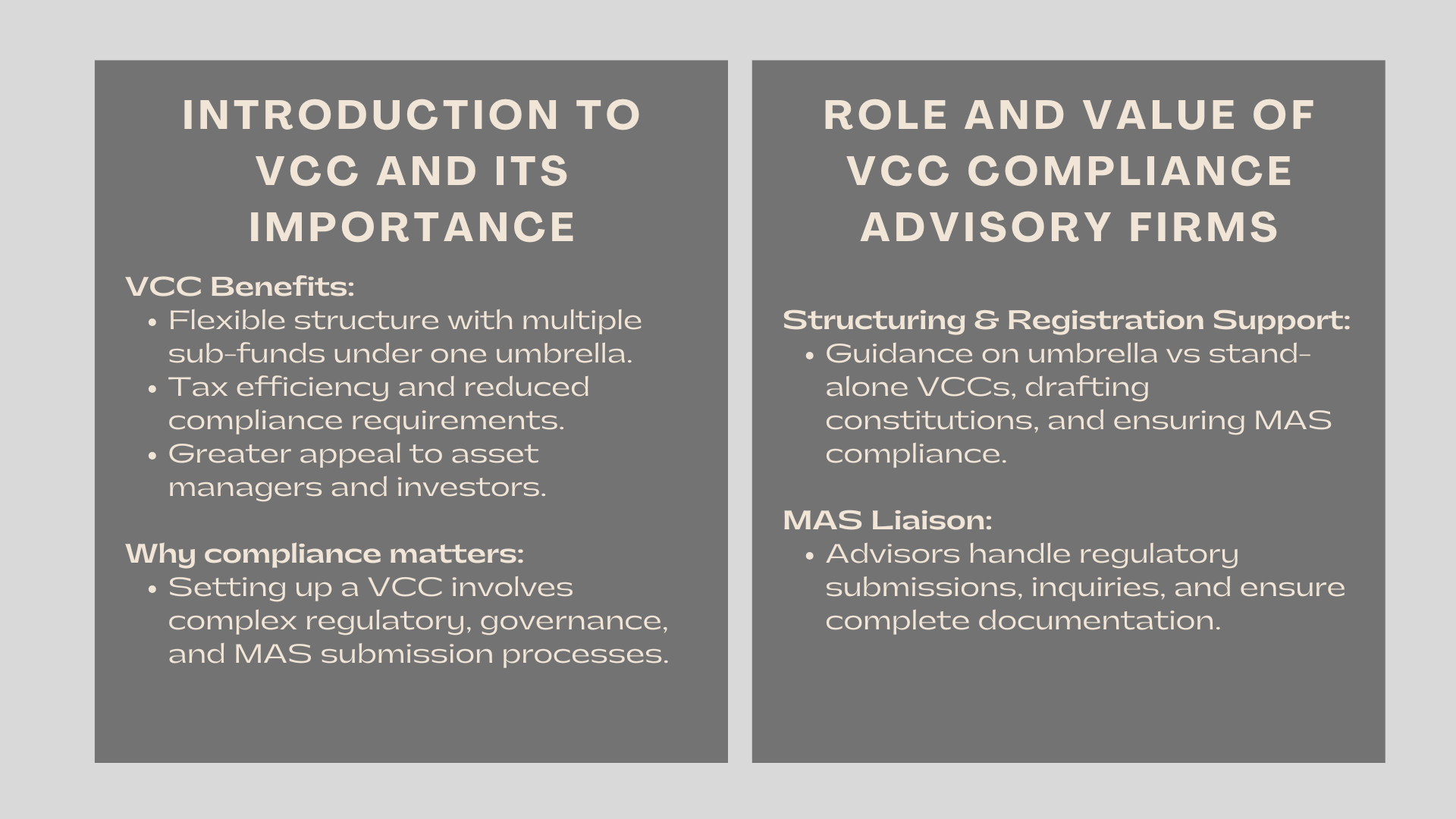 Top Companies Offering VCC Setup Compliance Services in Singapore