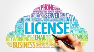 Payment Institution License