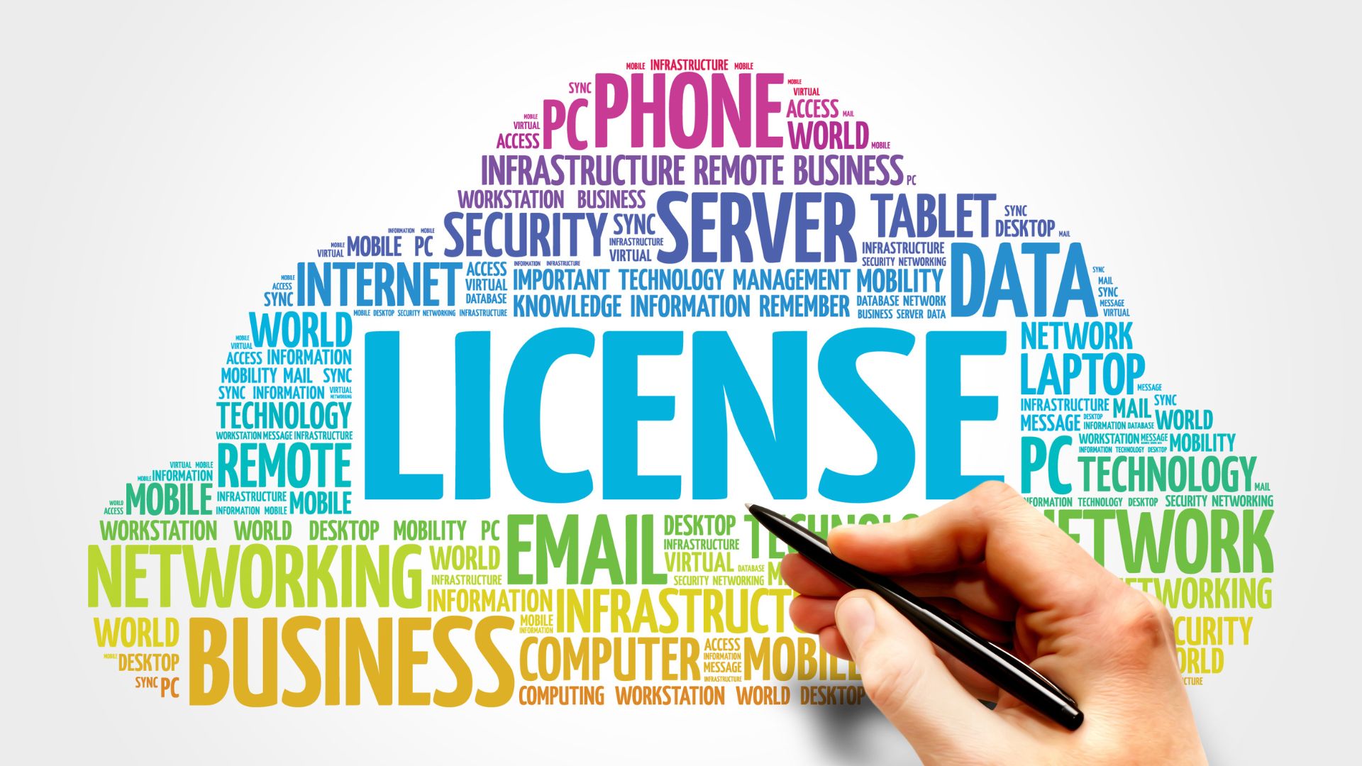 Payment Institution License