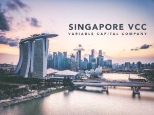 Variable Capital Company Singapore